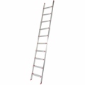 rise-tec-10-step-ladder-lean-on-8606000010-1.jpg